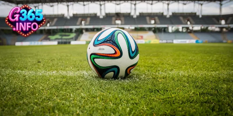 Cách nhận biết kèo dụ cực kỳ hiệu quả dành cho người mới